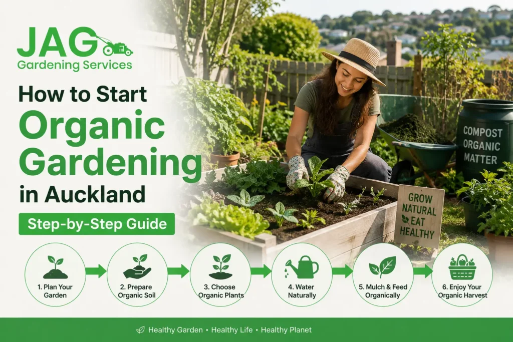 Organic Gardening in Auckland