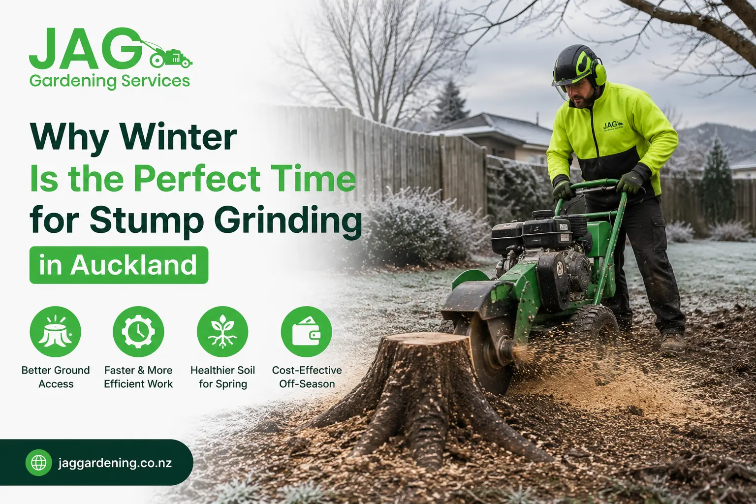 Stump Grinding in Auckland
