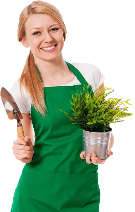 Gardening Services Auckland