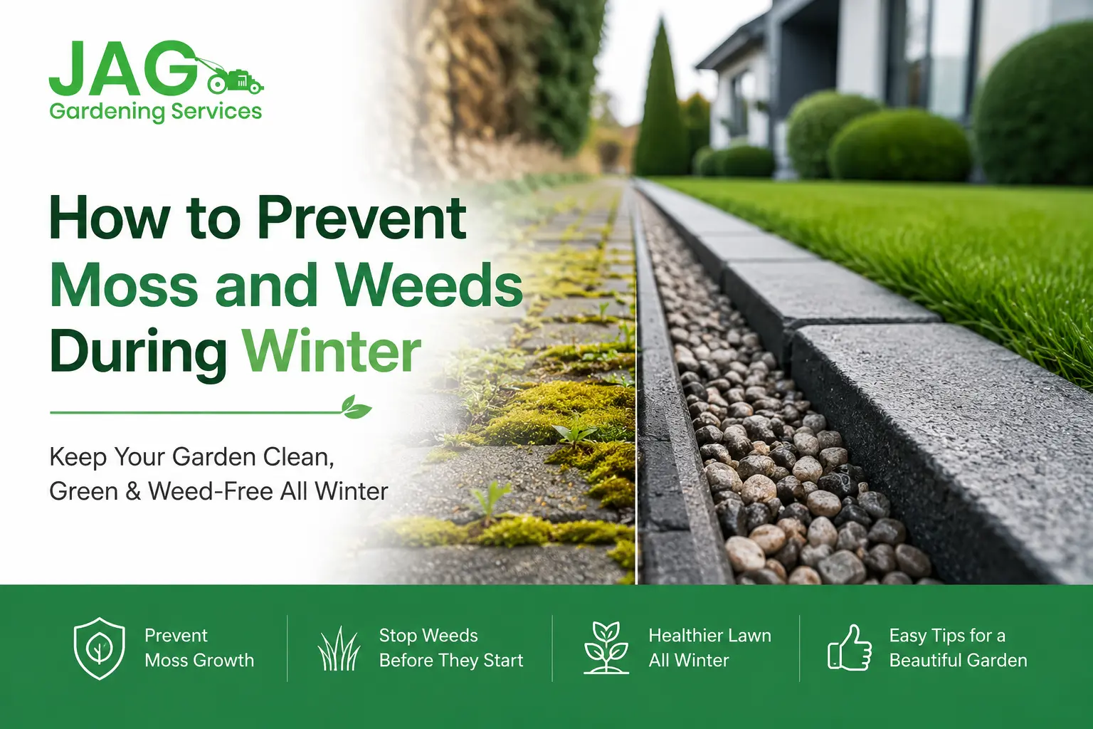 prevent moss and weeds during winter